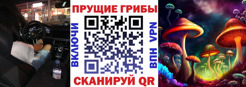 Псилоцибиновые грибы Psilocybe  Владимир 