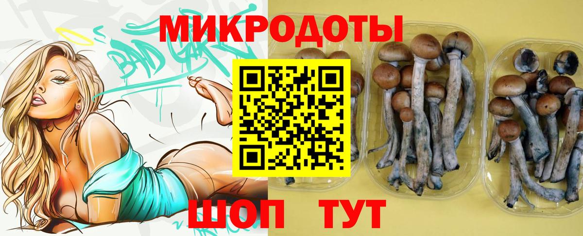 купить наркотики сайты  Галлюциногенные грибы MAGIC MUSHROOMS  Вход с VPN  Галлюциногенные грибы MAGIC MUSHROOMS  Владимир 