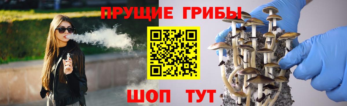 Галлюциногенные грибы прущие грибы Владимир